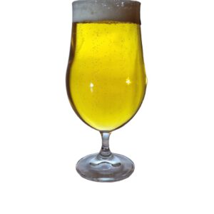Biertulpe